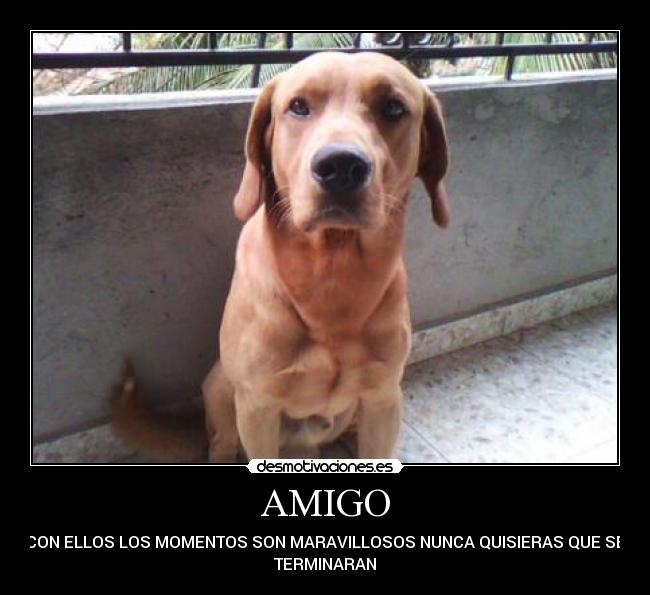 AMIGO -