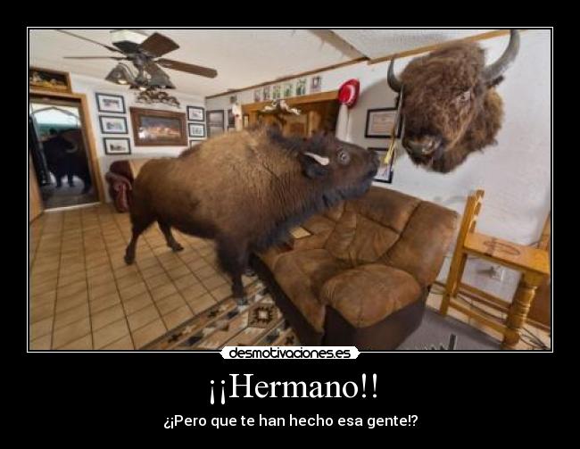 ¡¡Hermano!! - 
