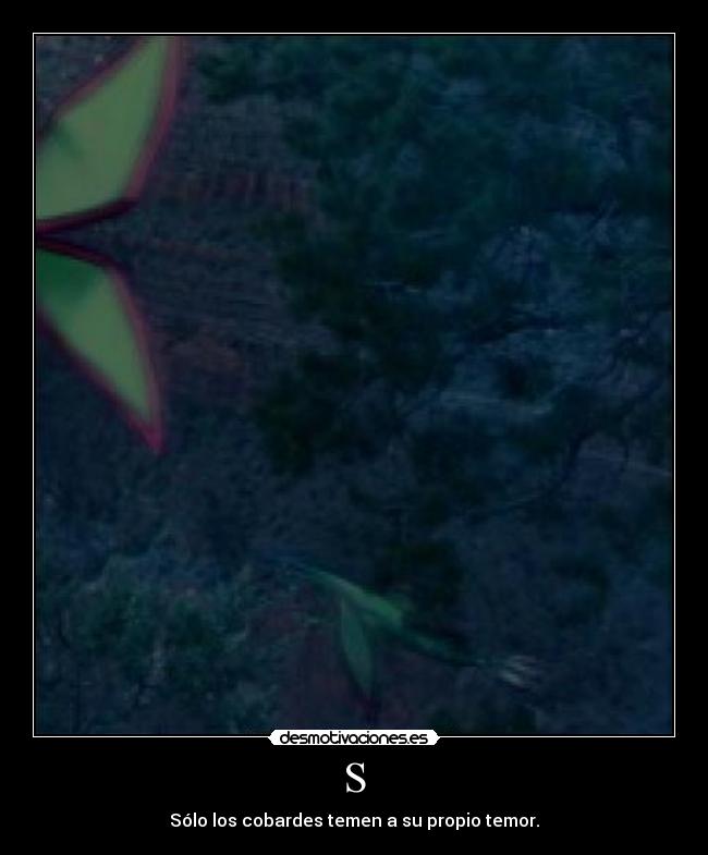 S - Sólo los cobardes temen a su propio temor.