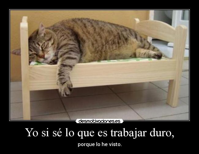 Yo si sé lo que es trabajar duro, - 