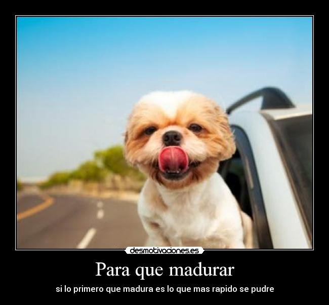 Para que madurar - si lo primero que madura es lo que mas rapido se pudre