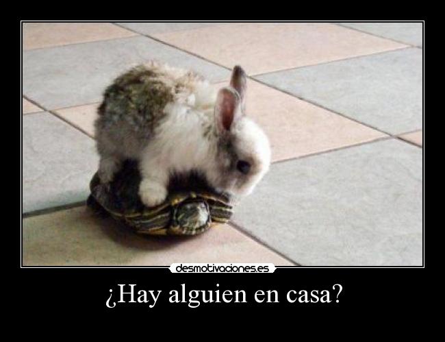 ¿Hay alguien en casa? -