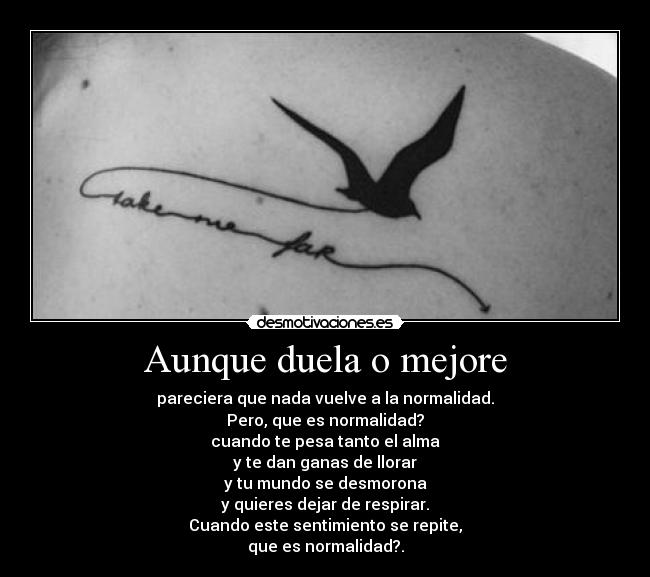 Aunque duela o mejore - pareciera que nada vuelve a la normalidad.
Pero, que es normalidad?
cuando te pesa tanto el alma
y te dan ganas de llorar
y tu mundo se desmorona
y quieres dejar de respirar.
Cuando este sentimiento se repite,
que es normalidad?.