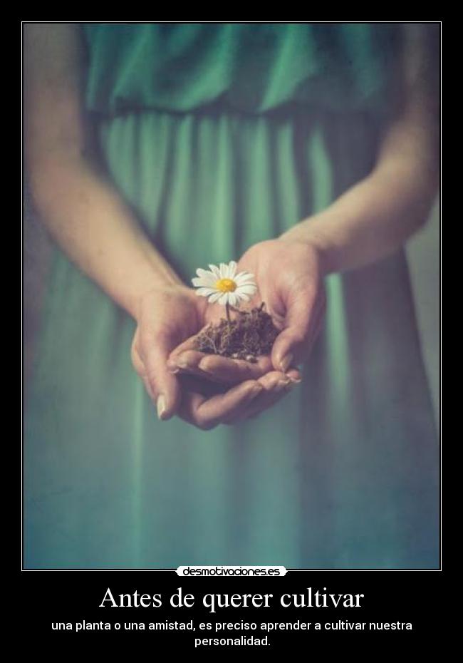 Antes de querer cultivar -