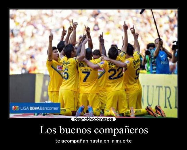 Los buenos compañeros - 