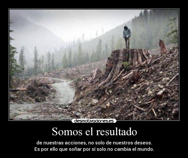 Somos el resultado -