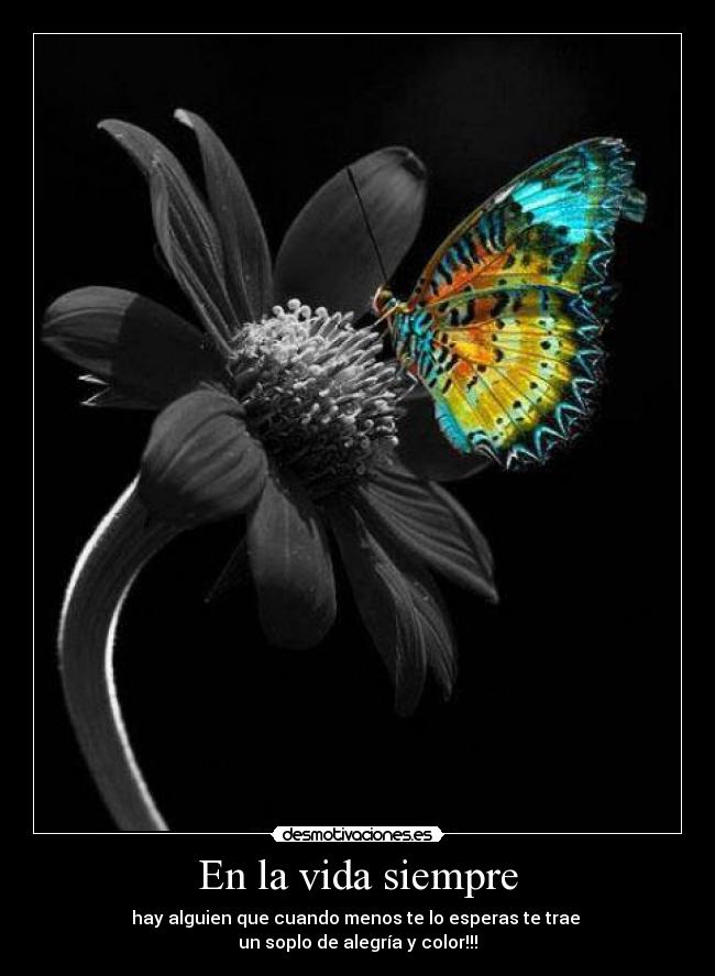 En la vida siempre -