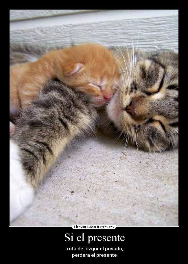 Si el presente -