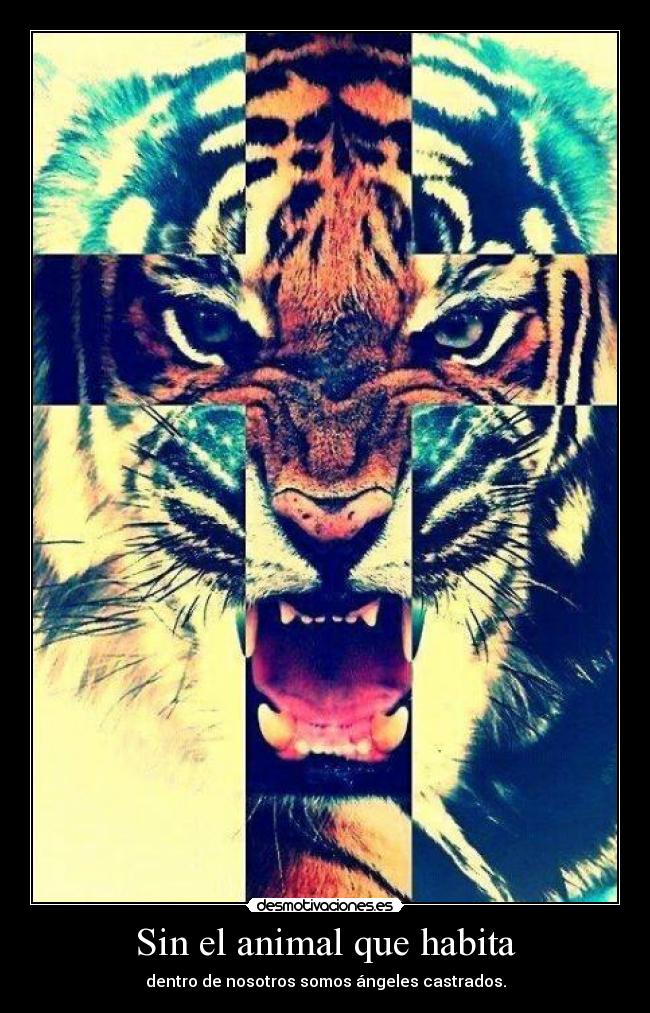 Sin el animal que habita -