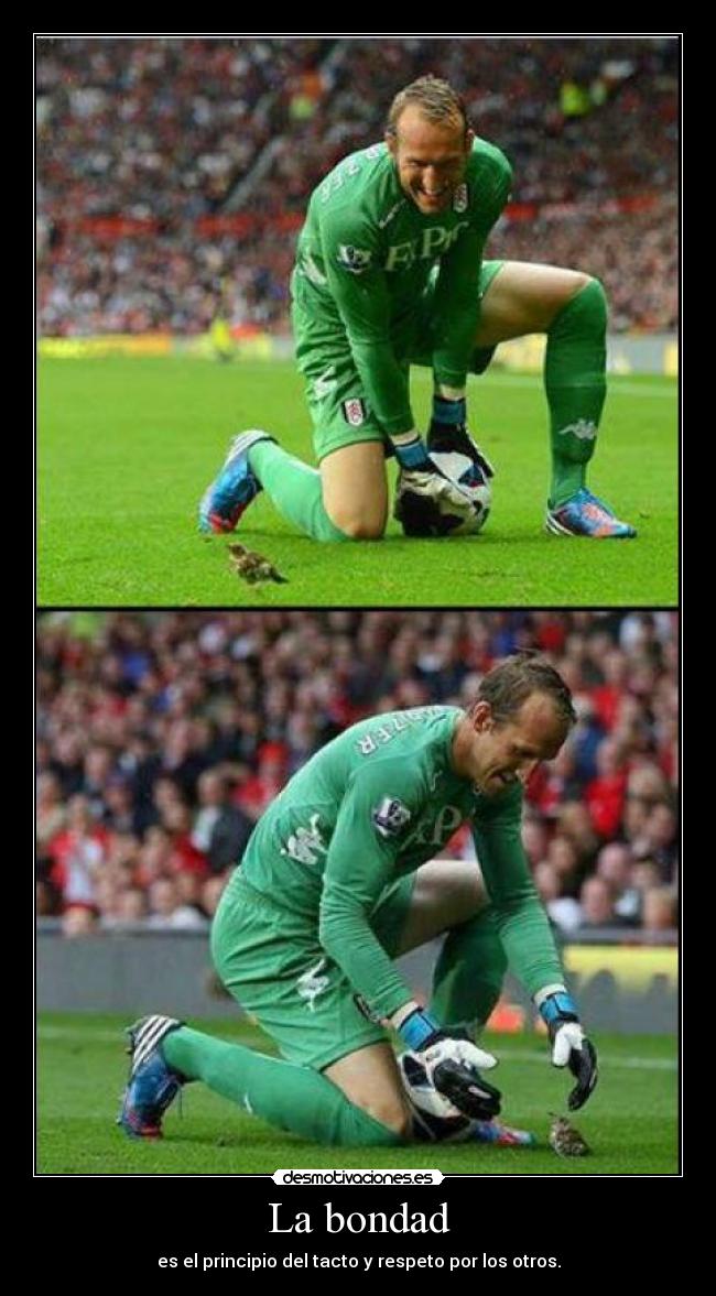 La bondad - es el principio del tacto y respeto por los otros.