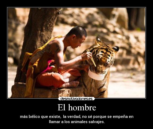 El hombre - 