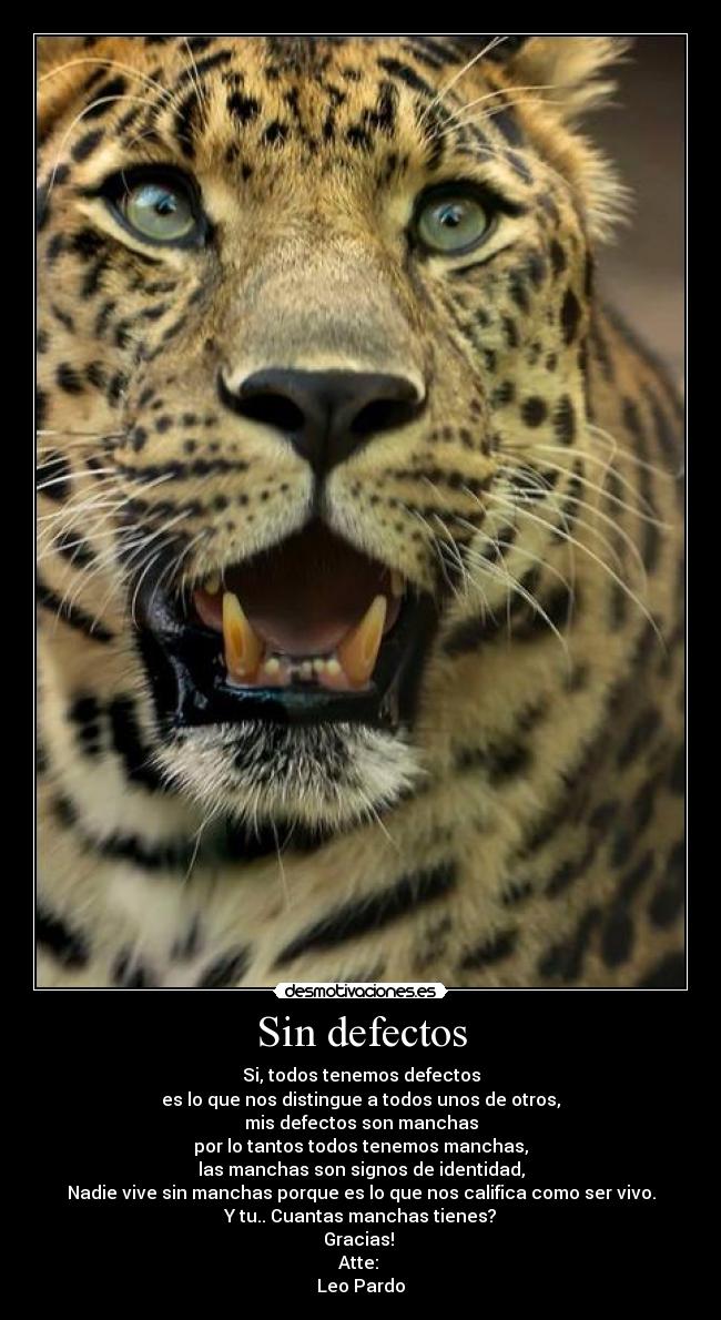 Sin defectos - Si, todos tenemos defectos
es lo que nos distingue a todos unos de otros,
mis defectos son manchas
por lo tantos todos tenemos manchas,
las manchas son signos de identidad,
Nadie vive sin manchas porque es lo que nos califica como ser vivo.
Y tu.. Cuantas manchas tienes?
Gracias! 
Atte: 
Leo Pardo
