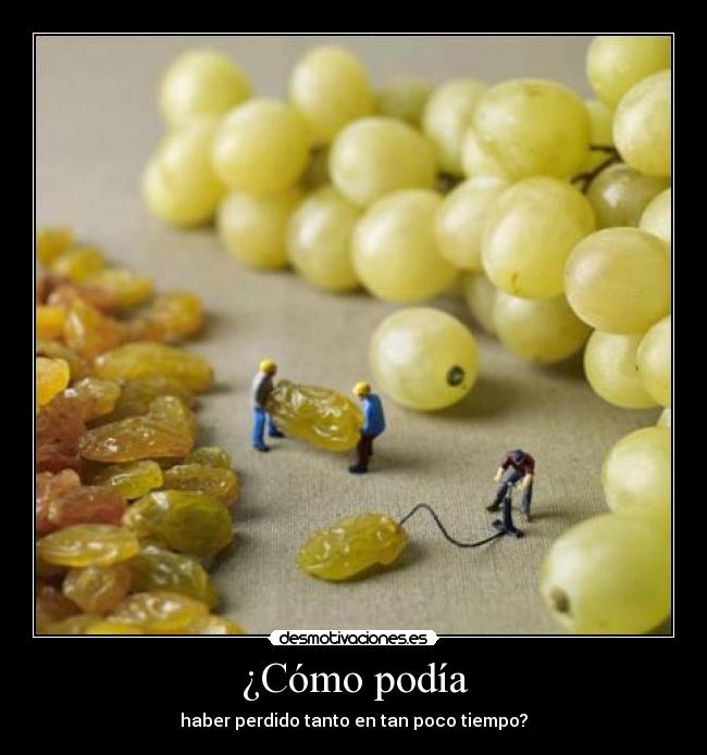 ¿Cómo podía - haber perdido tanto en tan poco tiempo?