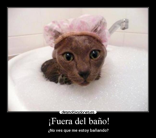 ¡Fuera del baño! - ¿No ves que me estoy bañando?