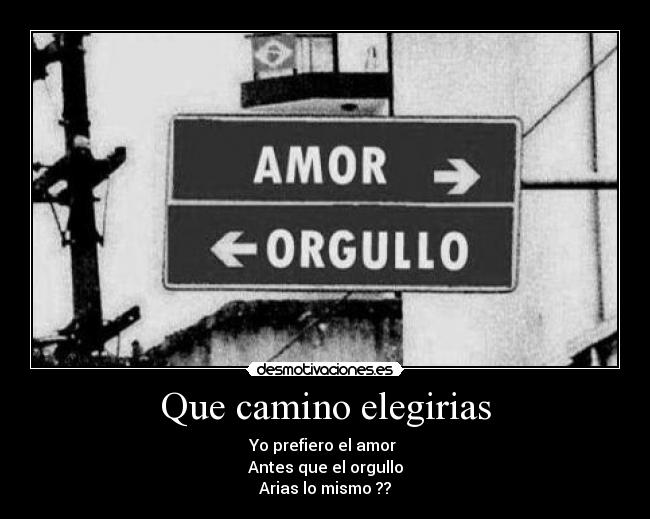 Que camino elegirias - 