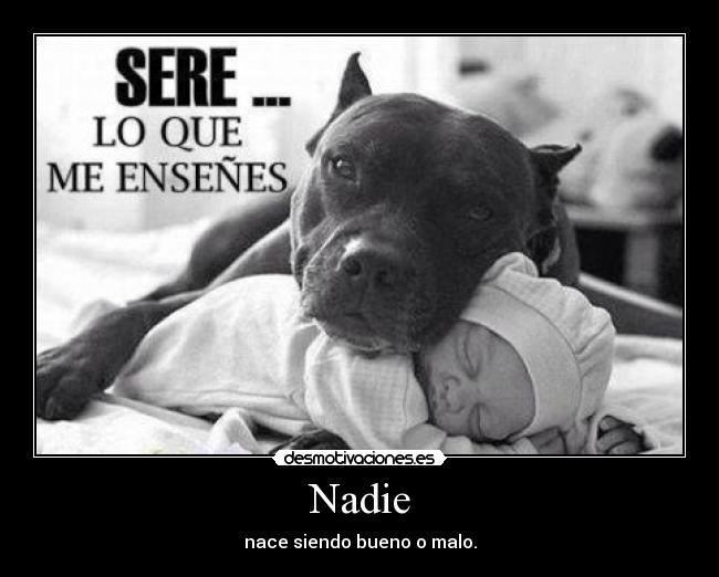 Nadie - nace siendo bueno o malo.