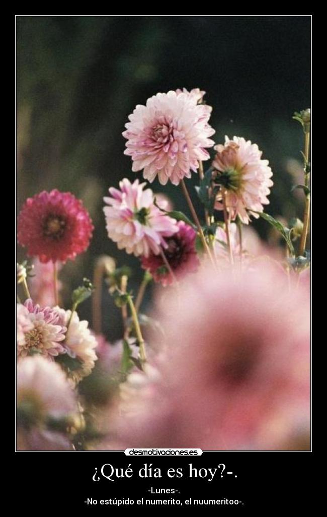 ¿Qué día es hoy?-. - -Lunes-.
-No estúpido el numerito, el nuumeritoo-.