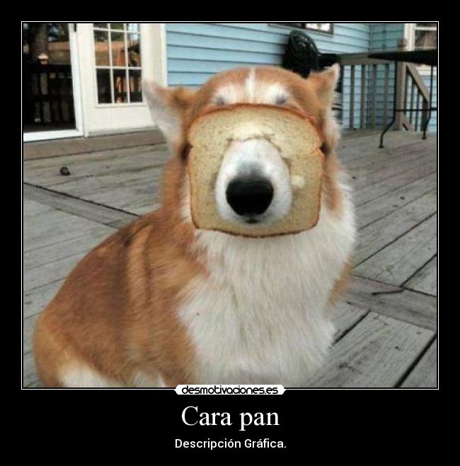 Cara pan -
