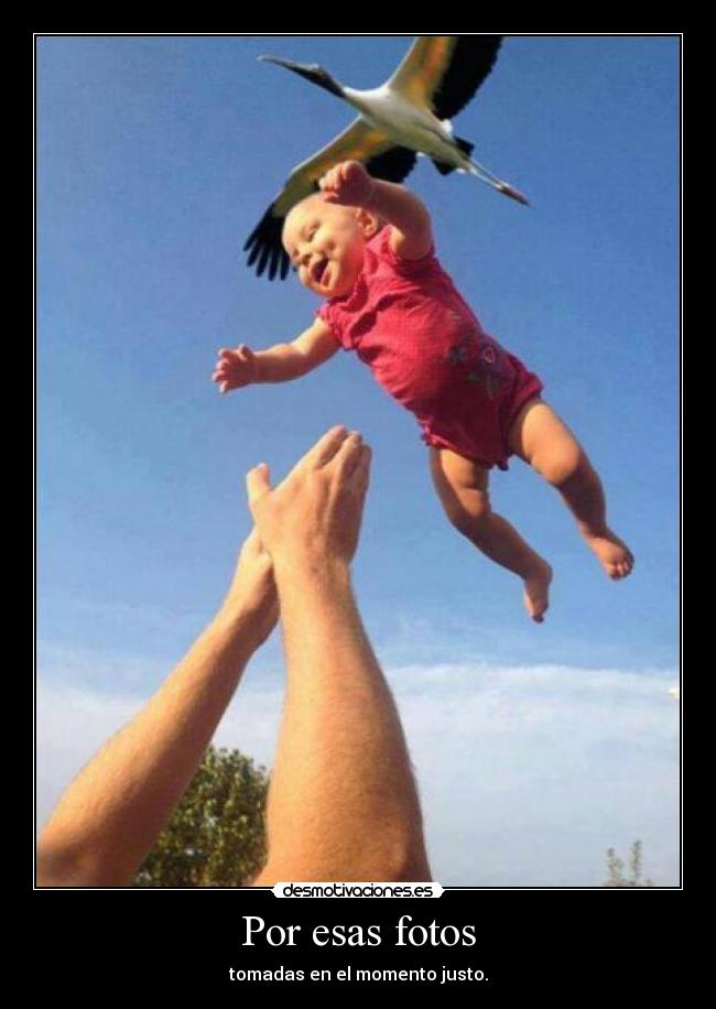 Por esas fotos - tomadas en el momento justo.
