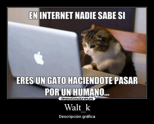 carteles sad life desmotivaciones