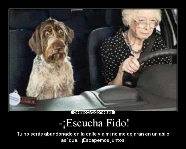 -¡Escucha Fido! - 