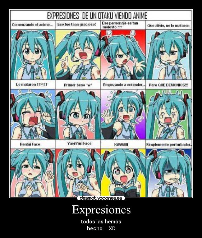 Expresiones - 