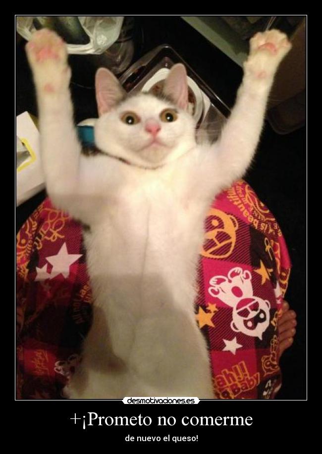 +¡Prometo no comerme -