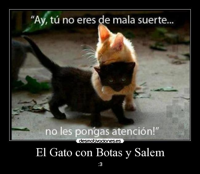 El Gato con Botas y Salem -