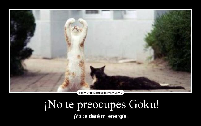 ¡No te preocupes Goku! -