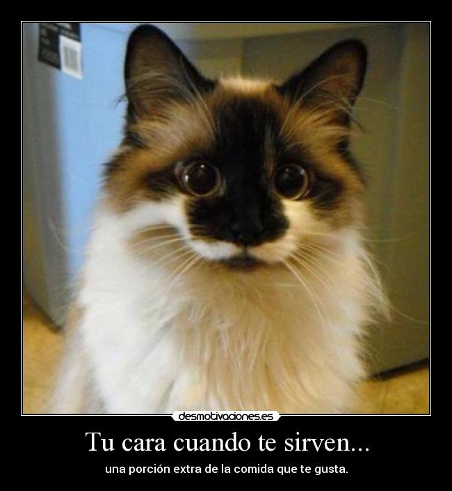 Tu cara cuando te sirven... - una porción extra de la comida que te gusta.