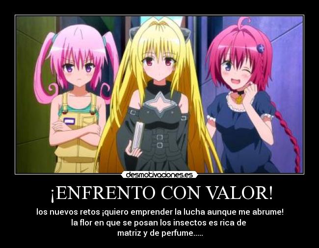 carteles amo magda desmotivaciones