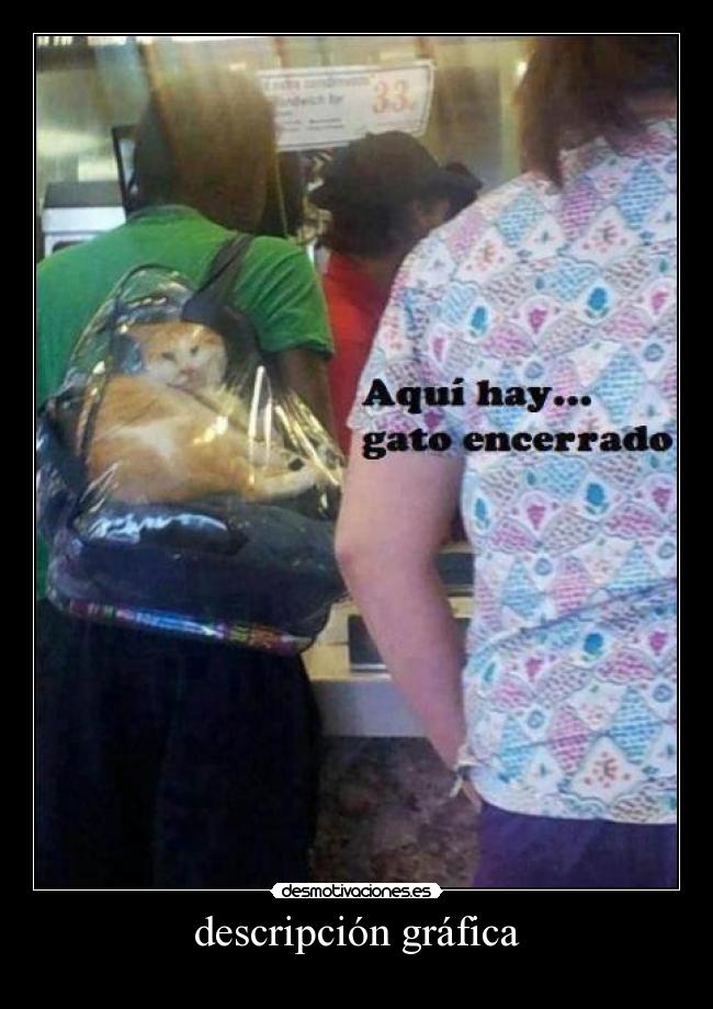 descripción gráfica - 