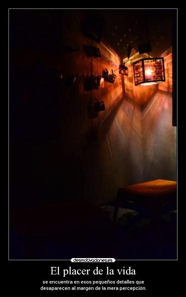 El placer de la vida - se encuentra en esos pequeños detalles que
desaparecen al margen de la mera percepción.