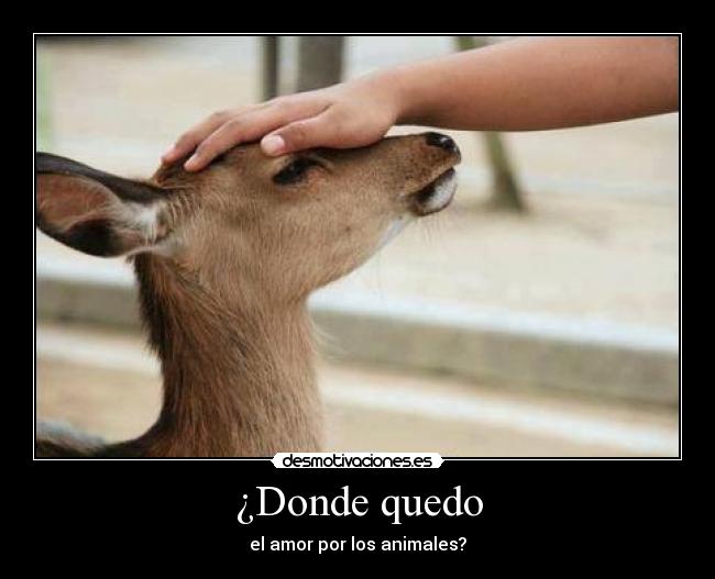 carteles sadf desmotivaciones