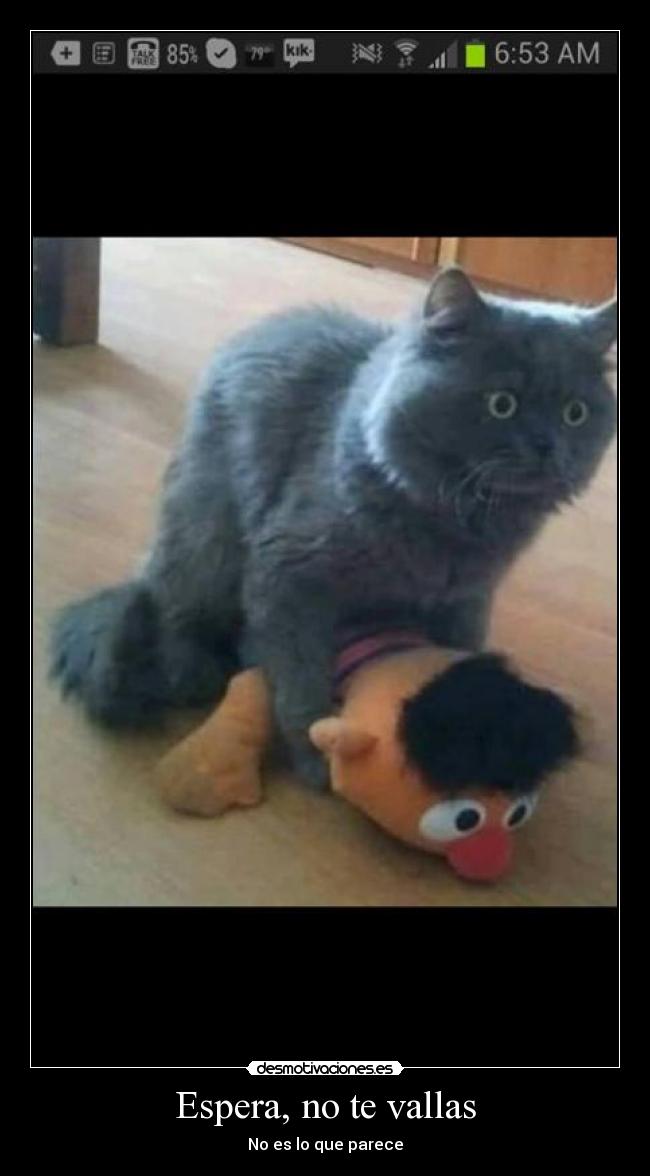 carteles las cosas siempre confunden todas maneras desmotivaciones