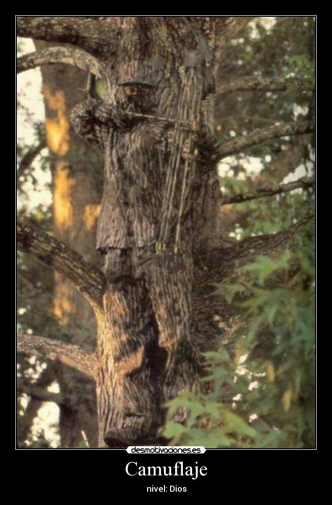 Camuflaje - nivel: Dios