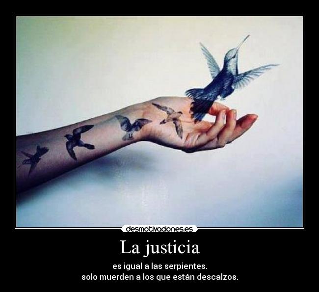 carteles oiu desmotivaciones