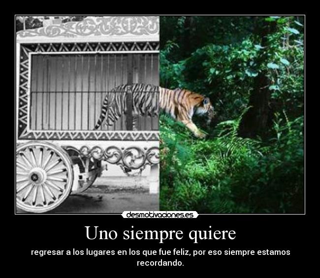 Uno siempre quiere - 