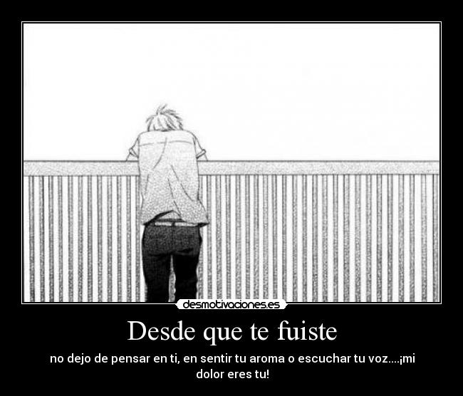 Desde que te fuiste - no dejo de pensar en ti, en sentir tu aroma o escuchar tu voz....¡mi dolor eres tu!