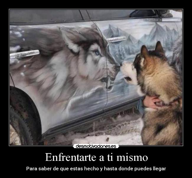 carteles  desmotivaciones