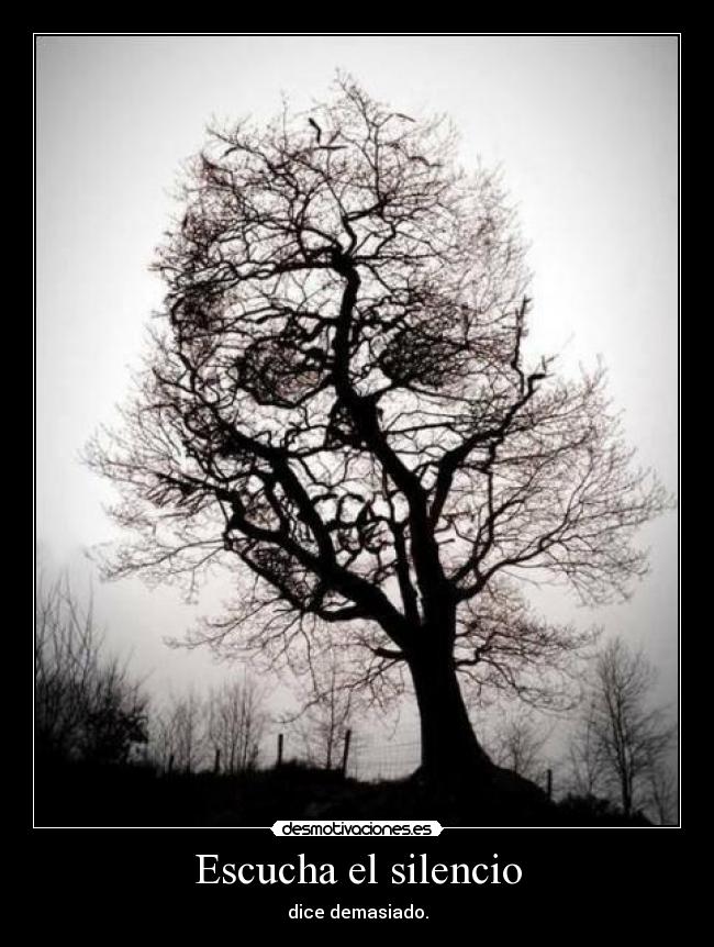 Escucha el silencio - 