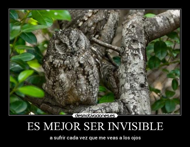 ES MEJOR SER INVISIBLE - a sufrir cada vez que me veas a los ojos