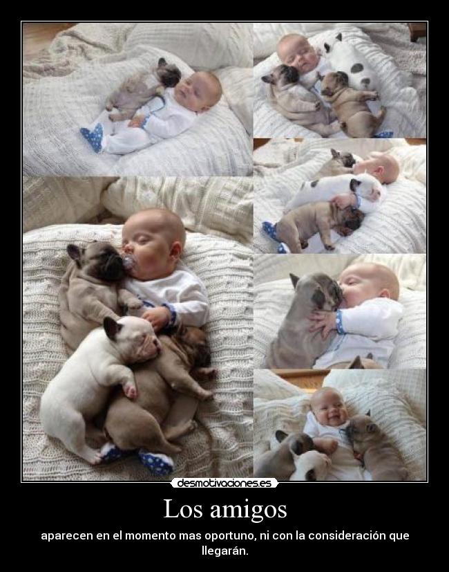 Los amigos - aparecen en el momento mas oportuno, ni con la consideración que llegarán.