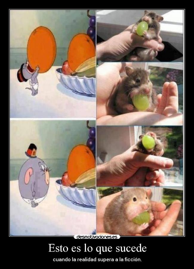 Esto es lo que sucede -