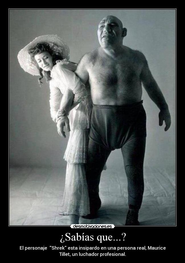 ¿Sabías que...? - El personaje Shrek esta insipardo en una persona real, Maurice
Tillet, un luchador profesional.
