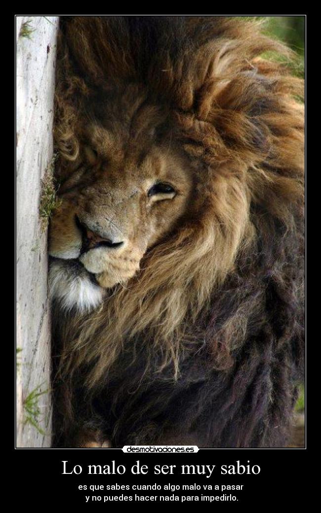 Lo malo de ser muy sabio -