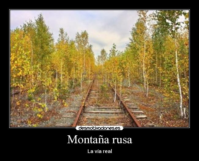 Montaña rusa - La vía real