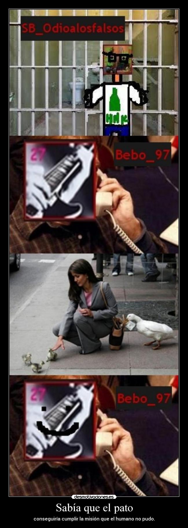 Sabía que el pato - conseguiría cumplir la misión que el humano no pudo.