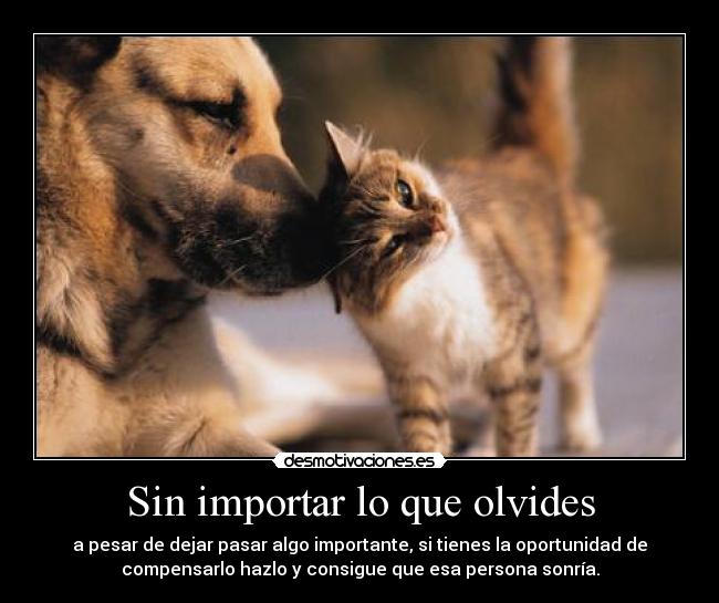 Sin importar lo que olvides - 
