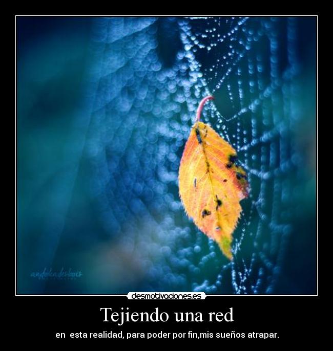 Tejiendo una red - 